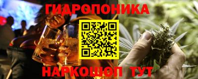 индика Обнинск